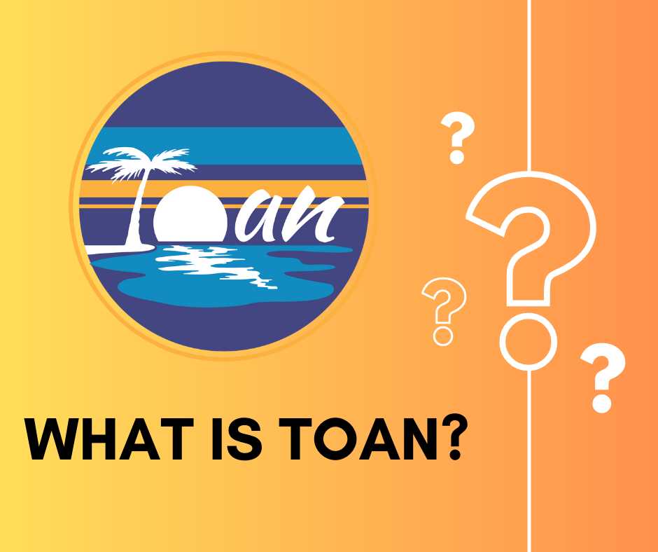 Blog Series 1 What Is Toan?